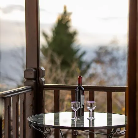 Chrysanthe Traditional Pelion House Tatil Evi *