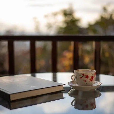 Chrysanthe Traditional Pelion House Σπίτι διακοπών Πορταριά