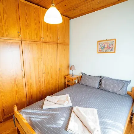 Σπίτι διακοπών Chrysanthe Traditional Pelion House *