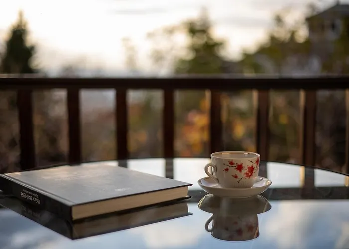 Chrysanthe Traditional Pelion House Tatil Evi Portariá